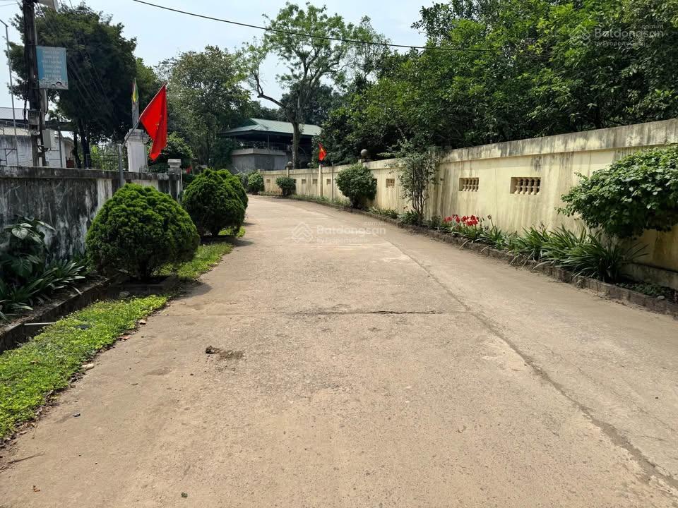 Cần bán gấp lô đất ba hàng đồi giá chỉ có 550 triệu vị trí đẹp, sát đường lớn