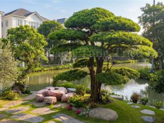 Bán biệt thự hoa lan vinhomes riverside  450m2 mặt sông 35m  giá số shock 330tr/m2 (cần tiền gấp)