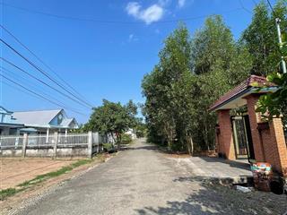 Cần bán 1500m2 đất  p. tân thành tp hcm ( sẳn 100m thổ cư )