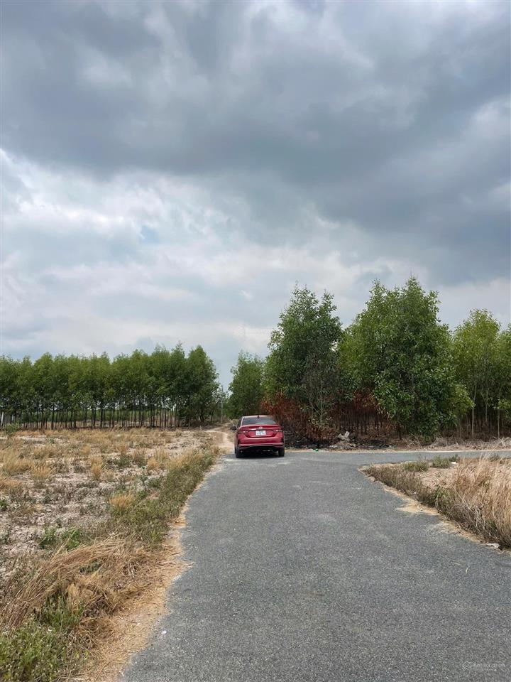 Cần bán 1200m2 đất / sẵn 60m2 thổ cư  p. tân thành, hcm