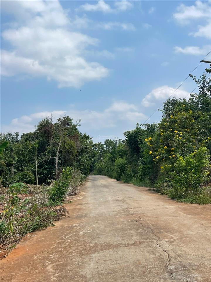 Cần bán 17000m2 đất cln sông xoài  p tân thành. hcm / giá 16 tỷ