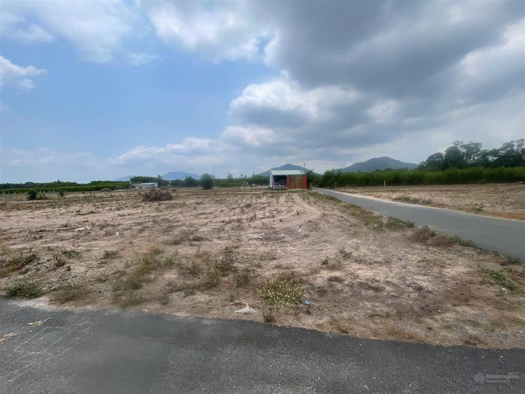 Bán lô đất 3 mặt tiền , sẳn 100m thổ cư  p. tân thành . hcm