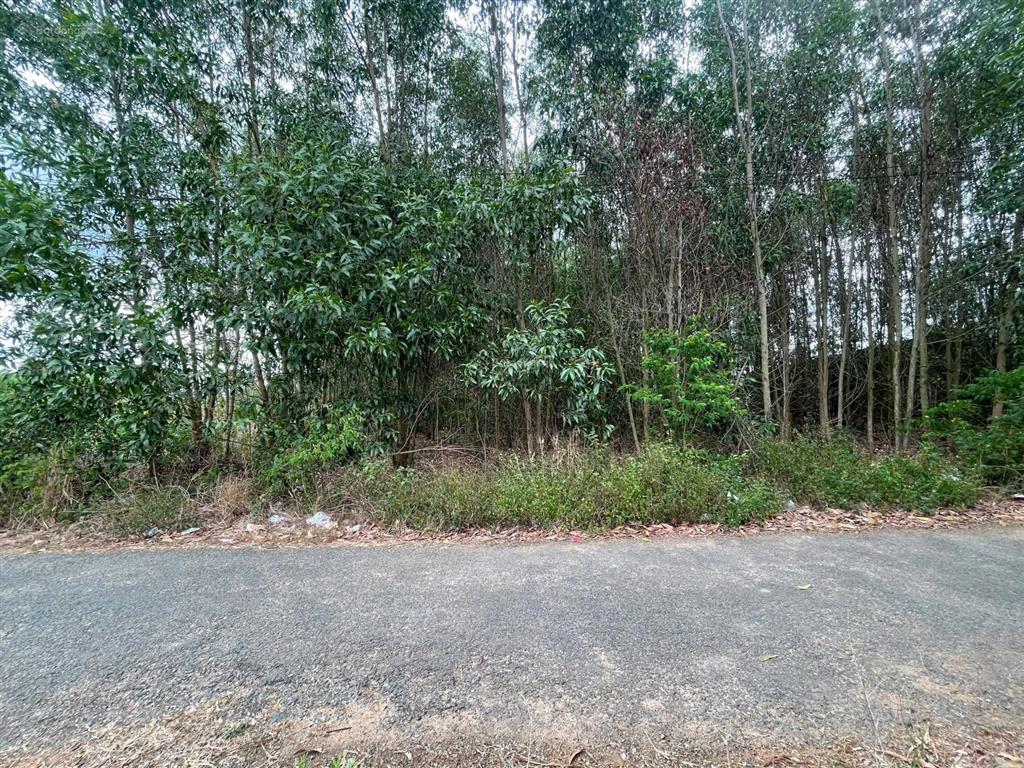 Bán 3300m2 đất p. tân thành . hcm / giá siêu hời 7,8 tỷ ( 100 thổ cư )