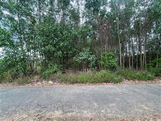 Bán 3300m2 đất p. tân thành . hcm / giá siêu hời 7,8 tỷ ( 100 thổ cư )