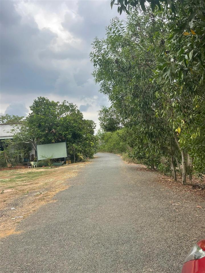 Bán 3300m2 đất p. tân thành . hcm / giá siêu hời 7,8 tỷ ( 100 thổ cư )