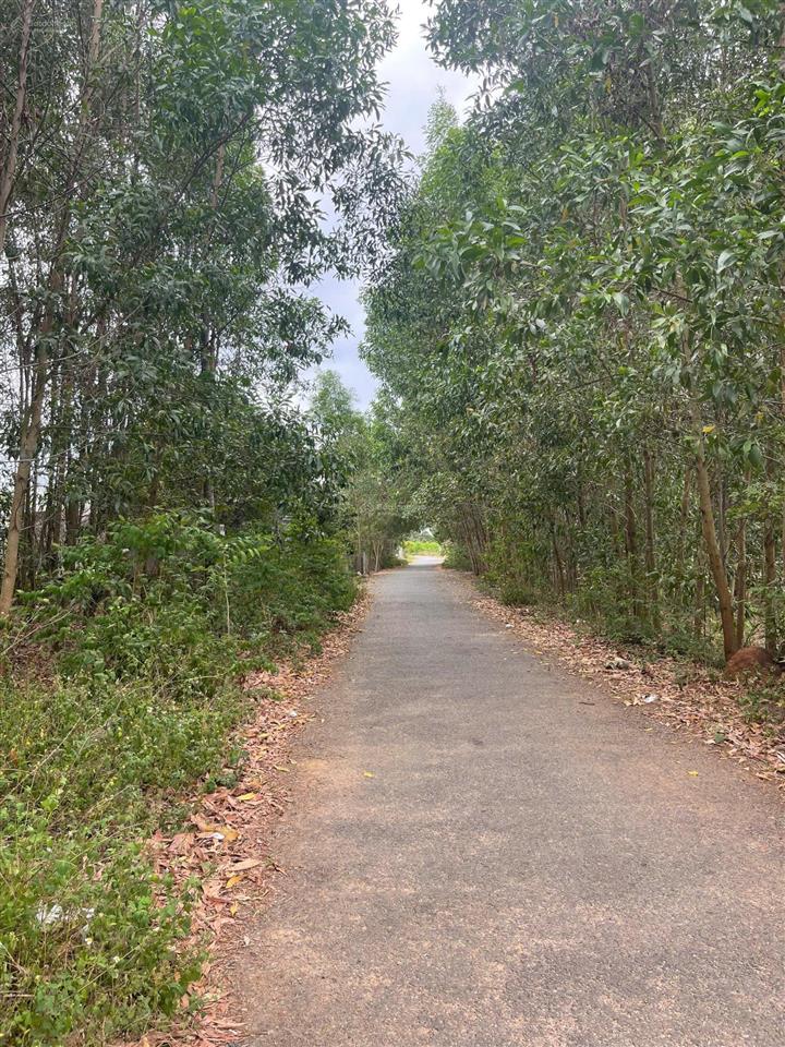 Bán 3300m2 đất p. tân thành . hcm / giá siêu hời 7,8 tỷ ( 100 thổ cư )