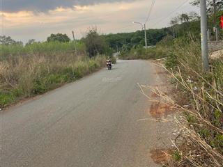 Bán 4.124m² đất cln, sẵn 400m2 thổ cư. p tân thành, tp hồ chí minh / giá 12 tỷ