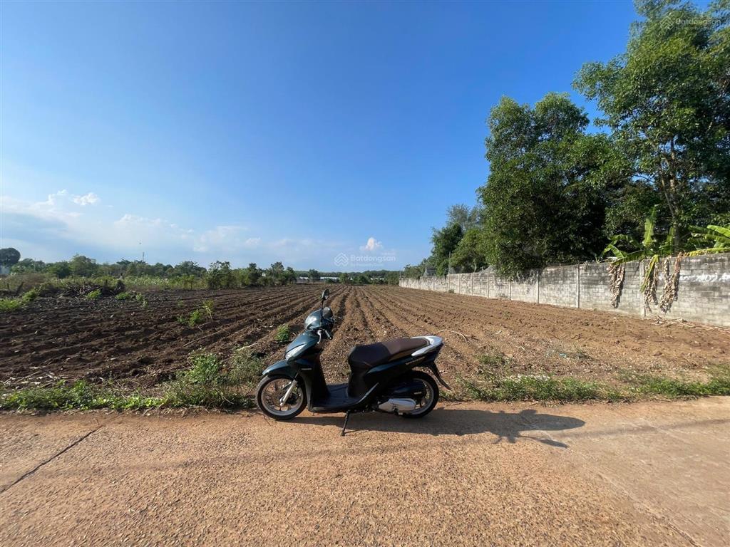 Bán 2968m2 đất cln. p tân thành  tp. hồ chí minh, giá 3,850 tỷ