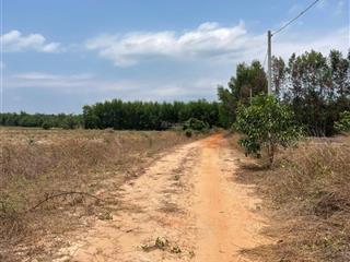 Bán lô đất 520m² cln  p. tân thành, tp hồ chí minh / giá 1,050 tỷ