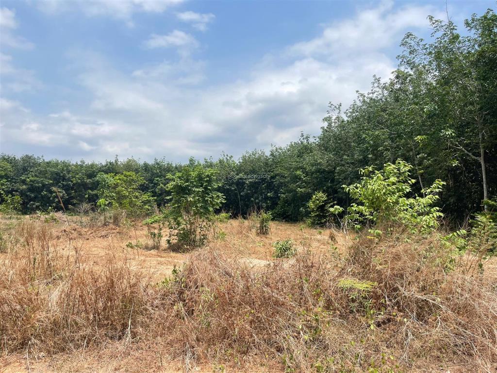 Bán lô đất 520m² cln  p. tân thành, tp hồ chí minh / giá 1,050 tỷ