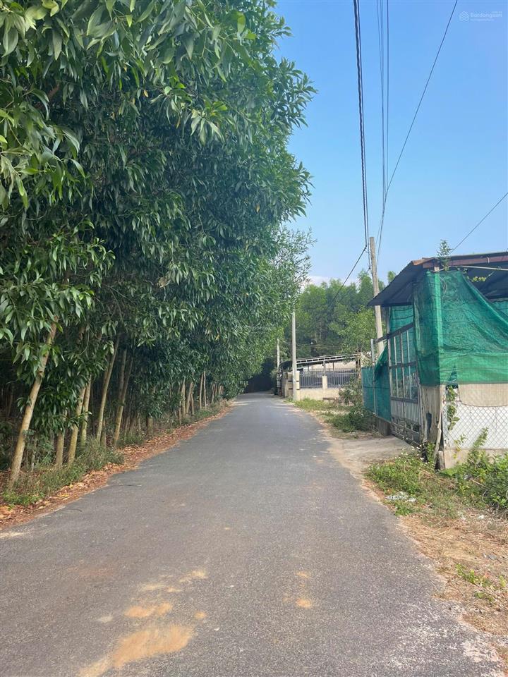 Bán 2860m2 đất tóc tiên  xã châu pha  tp. hcm / giá 5,5 tỷ (sẵn 150m2 thổ cư)
