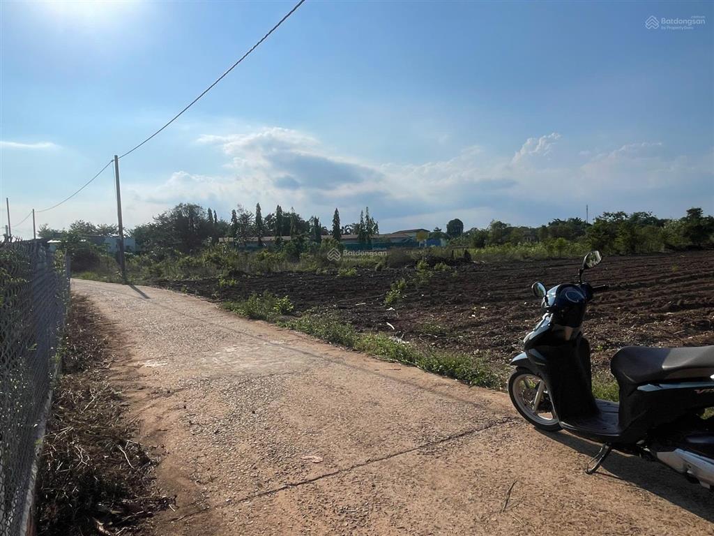 Bán 2968m2 đất cln. phường tân thành. hcm / giá 3,850 tỷ