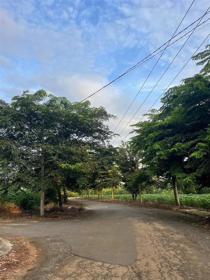 Bán đất p. tân thành  hồ chí minh / giá 880 triệu (sẵn 100m2 thổ cư)
