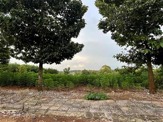 Bán đất p. tân thành  hồ chí minh / giá 880 triệu (sẵn 100m2 thổ cư)