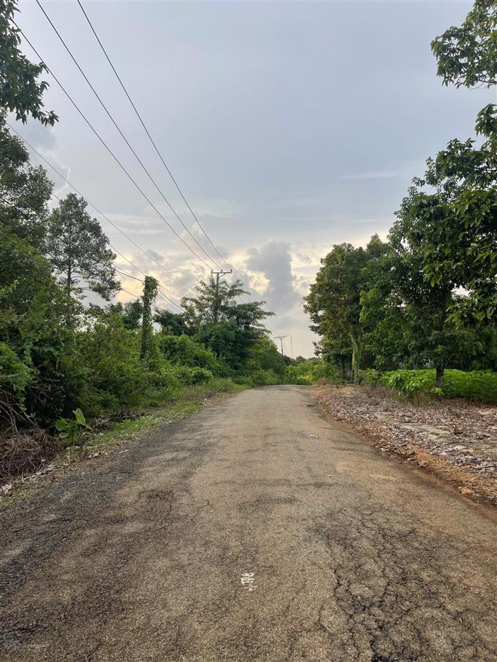 Bán đất p. tân thành  hồ chí minh / giá 880 triệu (sẵn 100m2 thổ cư)
