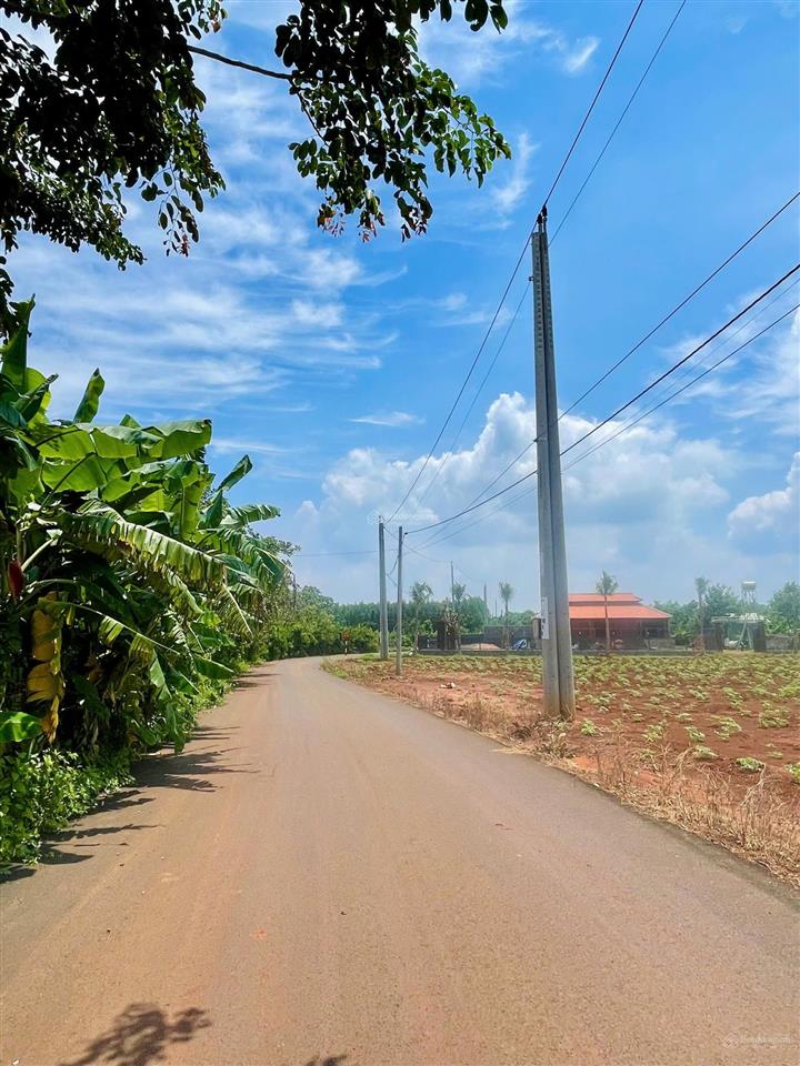 Bán đất kim long  châu đức. tp. hồ chí minh/ giá 650 triệu (sẵn 80m thổ cư)