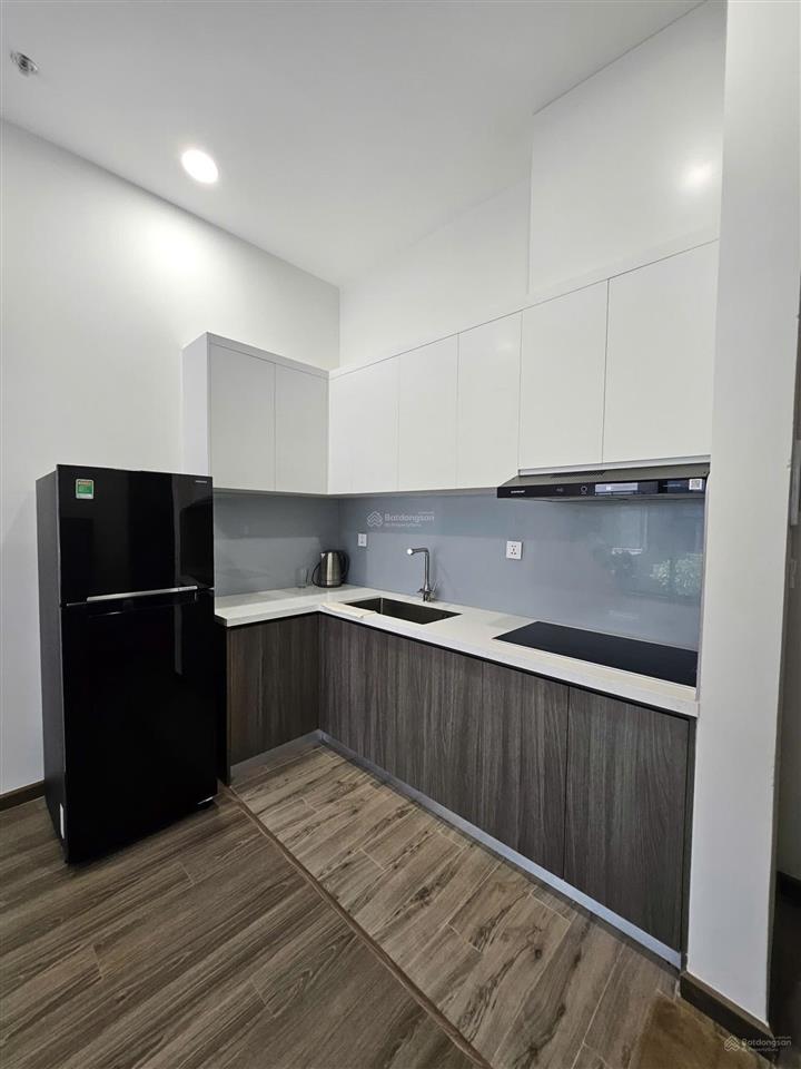 Cho thuê căn hộ 2pn 66m2 đầy đủ nội thất mới tại fpt plaza 3   0942 804 ***