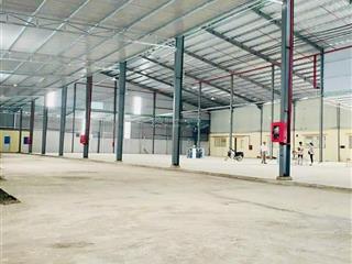 Kho xưởng cho thuê tại cần giuộc long an, 5000m2, pccc nghiệm thu, điện 560kva, giá tốt.