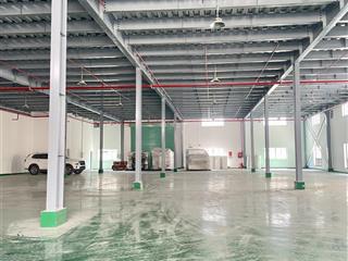 Kho xưởng cho thuê khu công nghiệp tân đức, đức hòa, tây ninh 4900m2, pccc đầy đủ