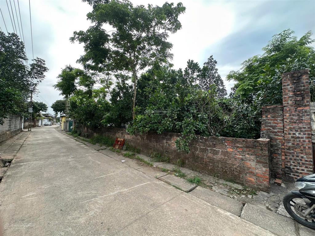 Bán đất thổ cư 161.8m² xã châu ninh, hưng yên giá 4.5 tỷ.  0904 548 ***