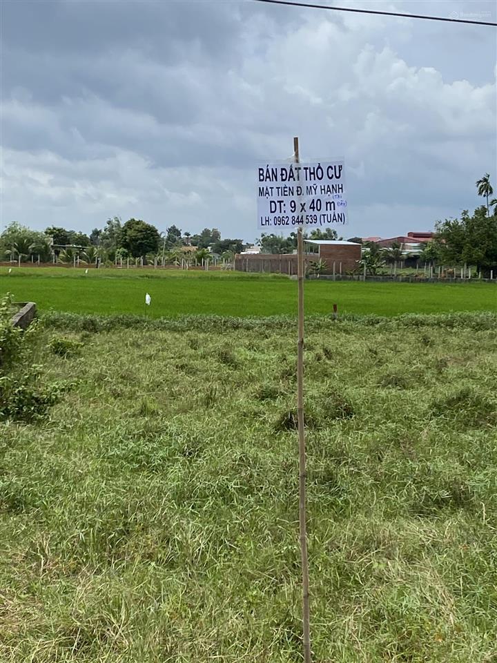 Bán đất thổ cư mặt tiền đường mỹ hạnh