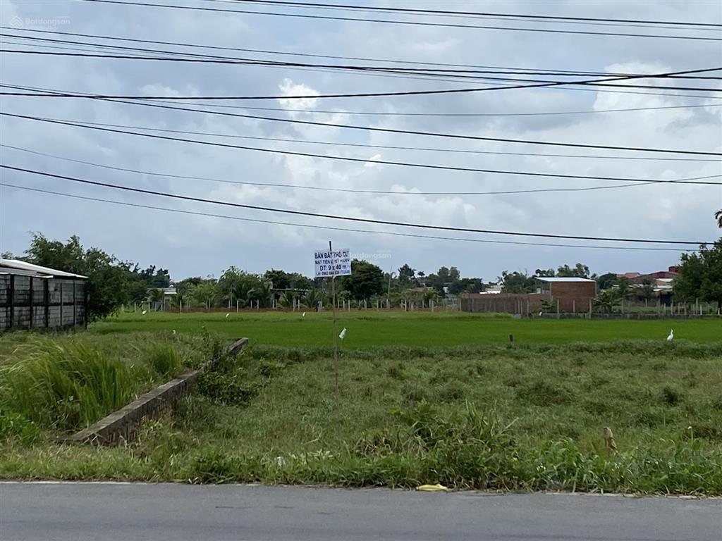 Bán đất thổ cư mặt tiền đường mỹ hạnh
