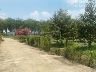 Chính chủ bán đất vườn tại xã nha bích (minh lập). thổ cư 50m2. giá 550 triệu còn thương lượng