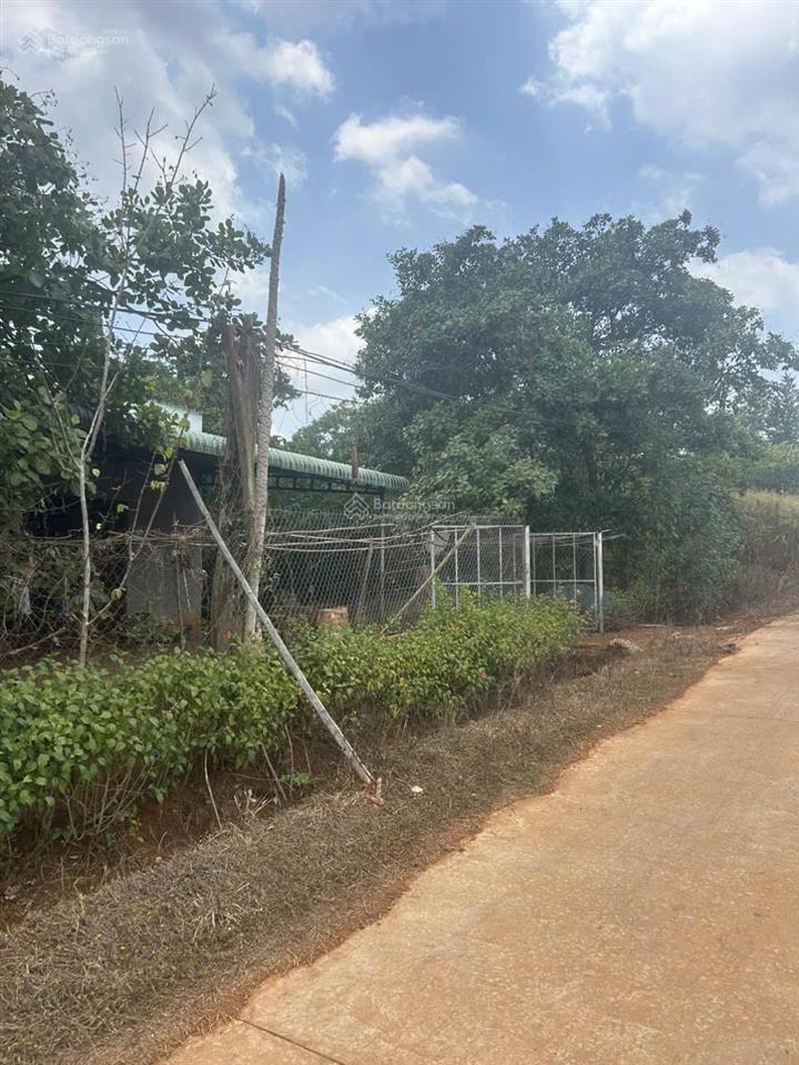 Bán đất tại đt 312, phước sơn, huyện bù đăng, 380 triệu vnd, 432m2, hàng hiếm chính chủ
