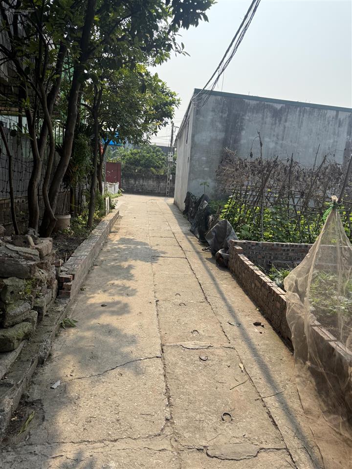 Thôn 3 vạn phúc nam phù, thanh trì | 58.9m | giá hơn 4 tỷ đất vuông vắn, ngõ rộng thoáng, k