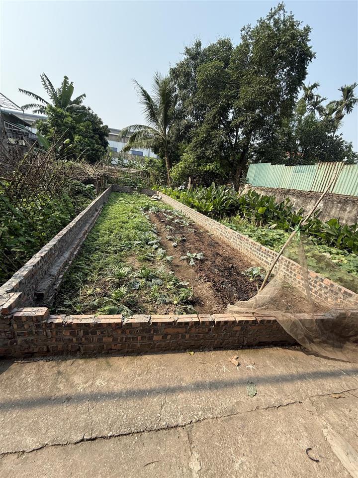 Thôn 3 vạn phúc nam phù, thanh trì | 58.9m | giá hơn 4 tỷ đất vuông vắn, ngõ rộng thoáng, k