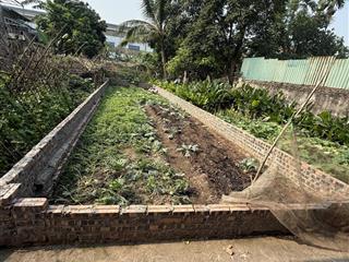 Thôn 3 vạn phúc nam phù, thanh trì | 58.9m | giá hơn 4 tỷ đất vuông vắn, ngõ rộng thoáng, k