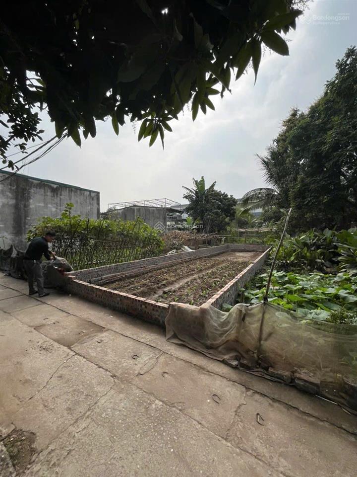 Thôn 3 vạn phúc nam phù, thanh trì | 58.9m | giá hơn 4 tỷ đất vuông vắn, ngõ rộng thoáng, k