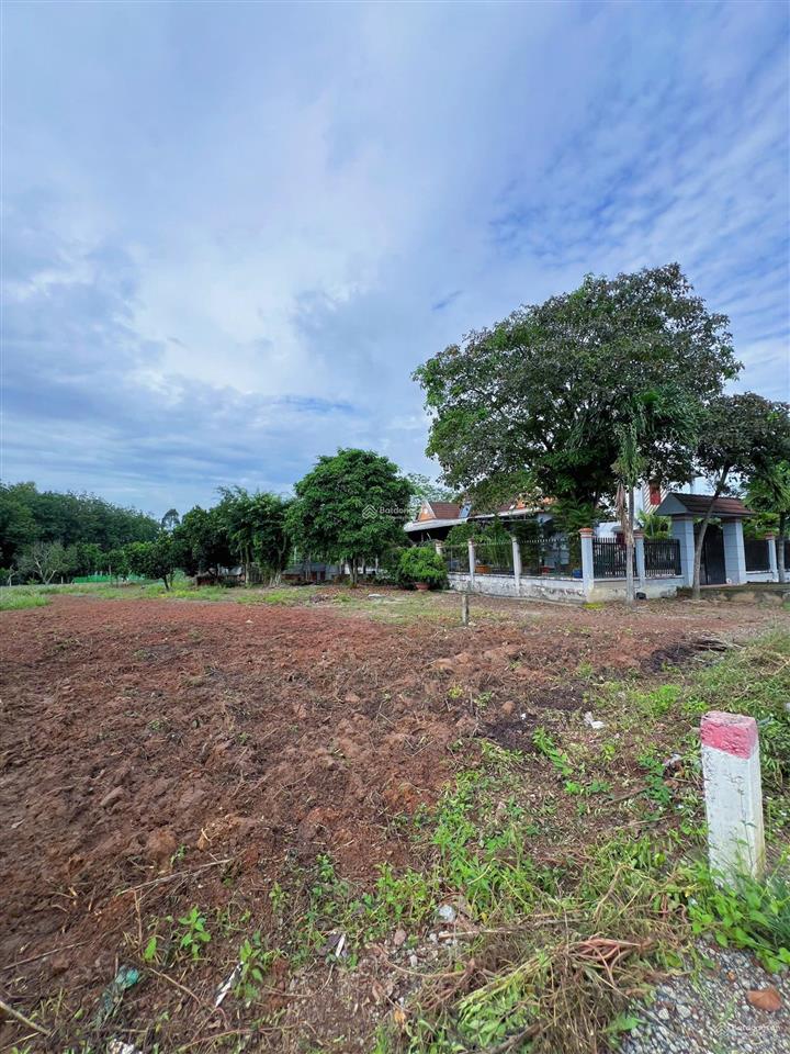 Bán đất an linh mặt tiền dh507, 590m2, giá 900 triệu 100m² tc, sổ riêng