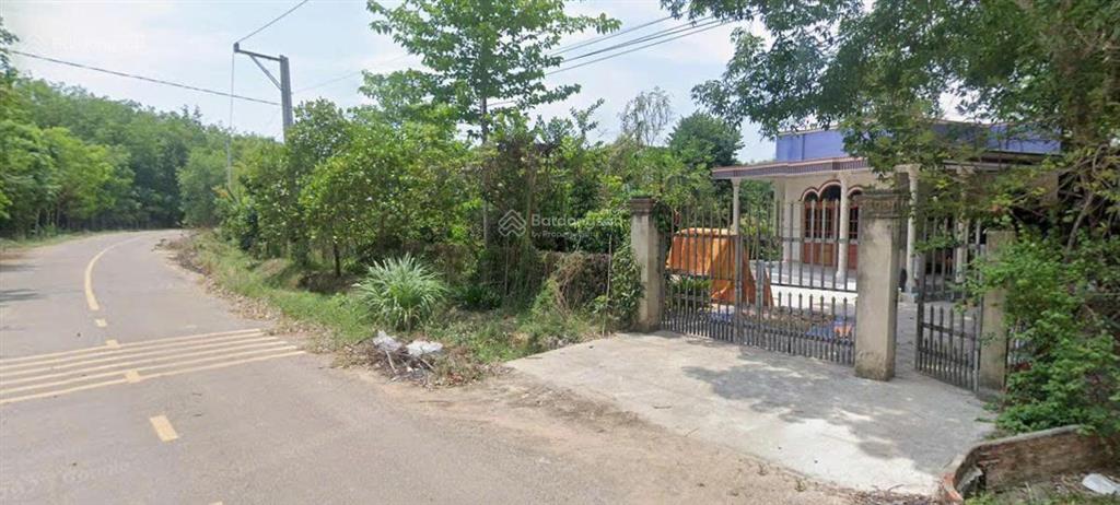 Bán đất tại dh519, phước sang, phú giáo, bình dương, 450 triệu, 250 m2