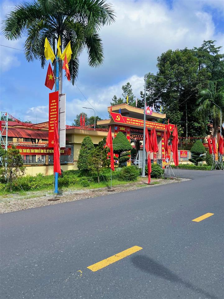 Bán gấp đất 489m2 tại dh509, an linh, phú giáo, bình dương, giá 600 triệu vnd