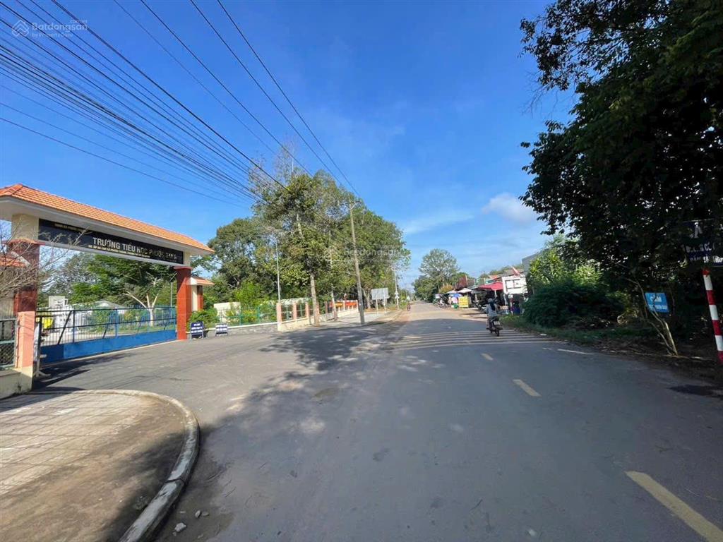 Bán gấp đất 489m2 tại dh509, an linh, phú giáo, bình dương, giá 600 triệu vnd