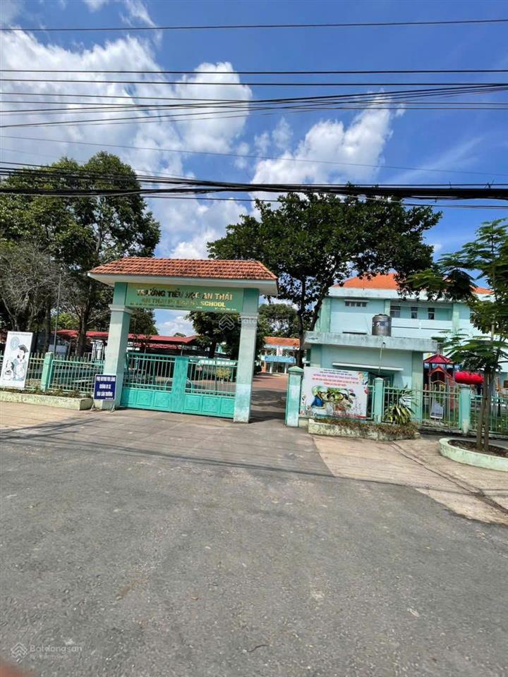 1.057m² đất vườn, đang có sẵn mít giá 590 triệu tại an thái
