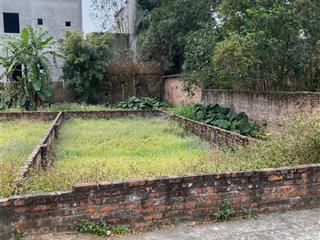 Bán đấu giá chi đônglệ chithuận an
tọa lạc tại xã lệ chi, gia lâm, hà nội, mảnh đất 66m2