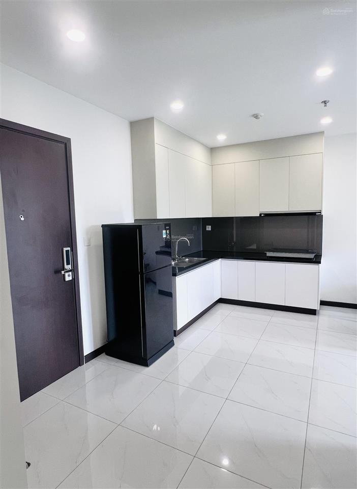 Chính chủ cho thuê căn 2pn sky view đầy đủ nội thất