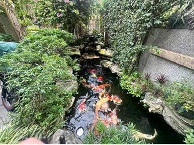 Biệt thự bến nghé view sông sài gòn, view công viên giá giảm bán nhanh 60 tỷ