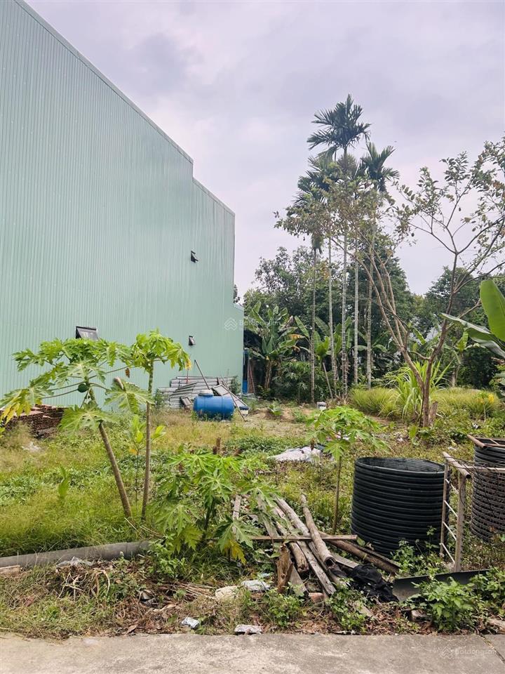 Đất đẹp 100m²  ô tô đỗ cửa  giá chỉ 2,39 tỷ!