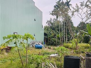 Đất đẹp 100m²  ô tô đỗ cửa  giá chỉ 2,39 tỷ!