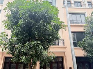 Biệt thự cọ xanh 2. diện tích 65m2. 5mx13m. giá chỉ có 9,2 tỷ