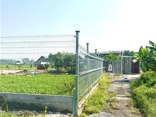 Đất vườn bình mỹ củ chi. có sẵn khuôn viên nhà vườn đẹp đường ô tô