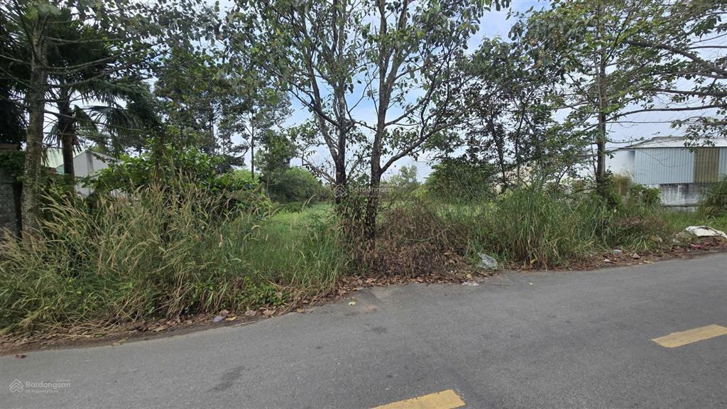 Đất lớn 5391m mặt tiền đường nhựa trung an củ chi. làm kho xưởng đẹp.