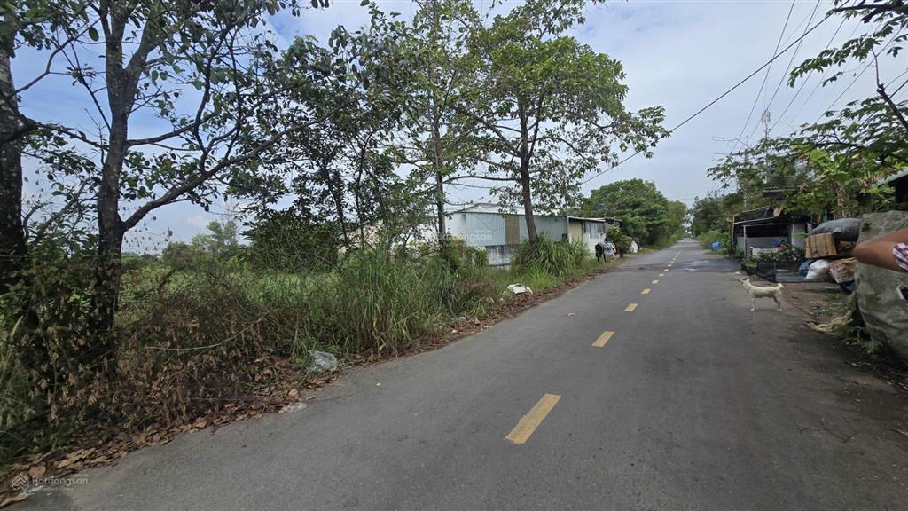 Đất lớn 5391m mặt tiền đường nhựa trung an củ chi. làm kho xưởng đẹp.