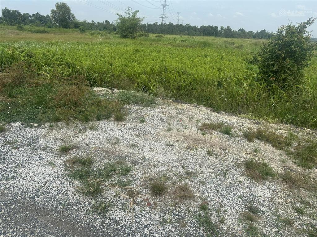 Quỹ đất lớn trung an giá đầu tư cực tốt. chỉ 800k/m2