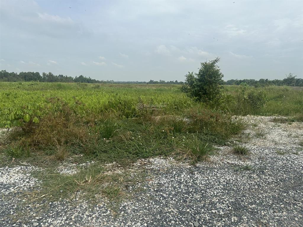Quỹ đất lớn trung an giá đầu tư cực tốt. chỉ 800k/m2
