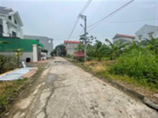 Chính chủ cần tiền bán mảnh đất hát môn, phúc thọ 103m2 giá tốt