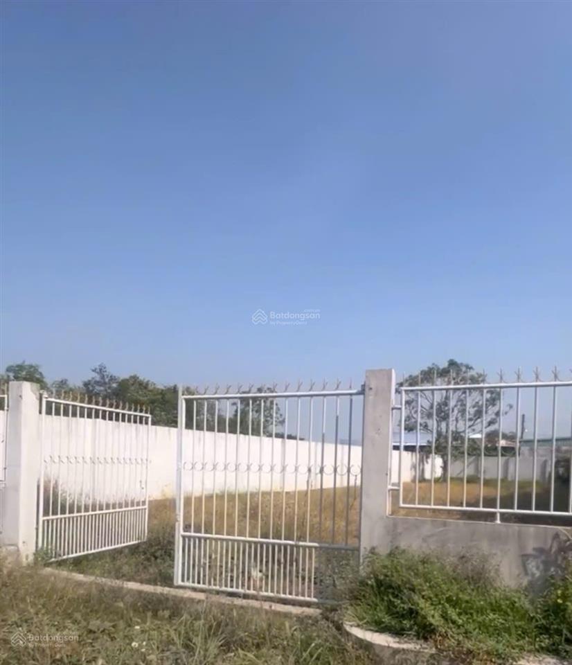 Bán đất ấp đồng tâm long trạch, cần đước full thổ 600m2.